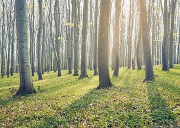 Bild: Bild: Wienerwald Tourismus/Andreas Hofer Photography