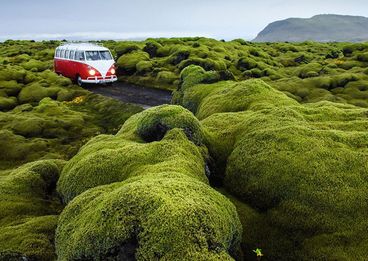 © Peter Gebhard