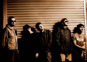 Bild: Steve Gullick