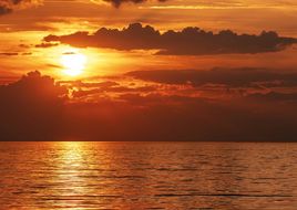 La traviata bei den Bregenzer Festspielen 2026: 80 Jahre Jubiläum am Bodensee