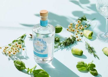 Foto: Pernod Ricard Austria