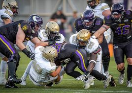 Spannende letzte Phase für die Vienna Vikings bei der AFLE Season 2026