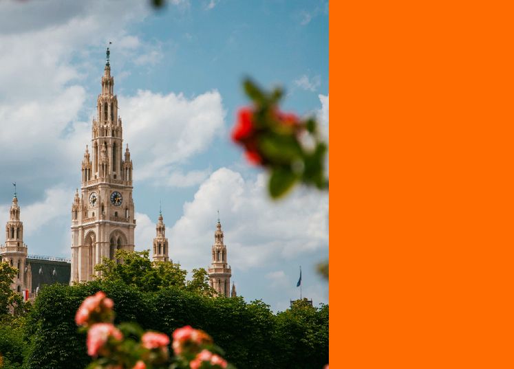 © Pexels - Roselène de Koning