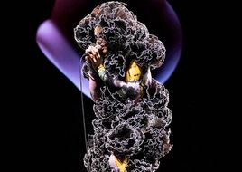 Björk zeigt ihre "Cornucopia"-Tour im Kino