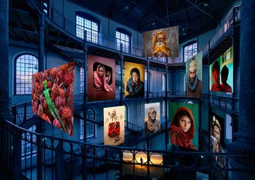 Bild: © atelierjungwirth.com / Steve McCurry