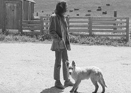 Neil Young: Jubiläum von "Harvest"