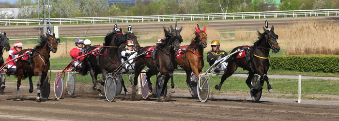 Gewinnspiel: Familienrenntag im Magna Racino Ebreichsdorf