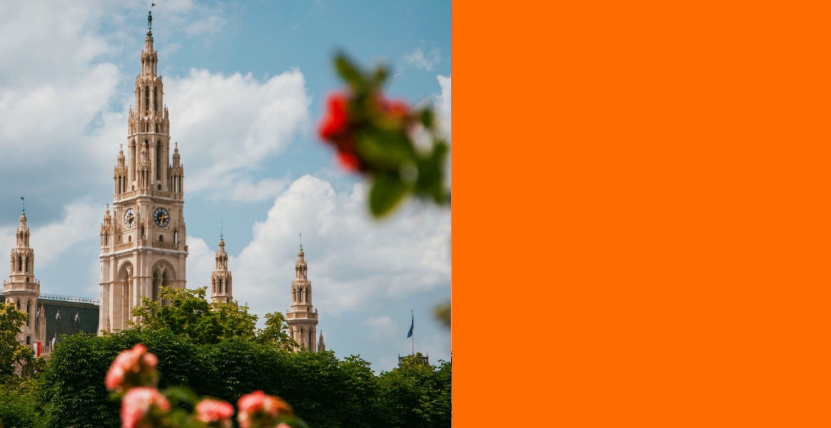 © Pexels - Roselène de Koning