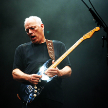 David Gilmour