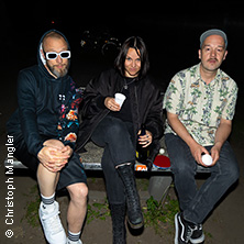 Grossstadtgefl&uuml;ster