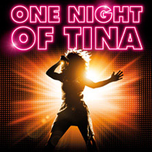 One Night Of Tina