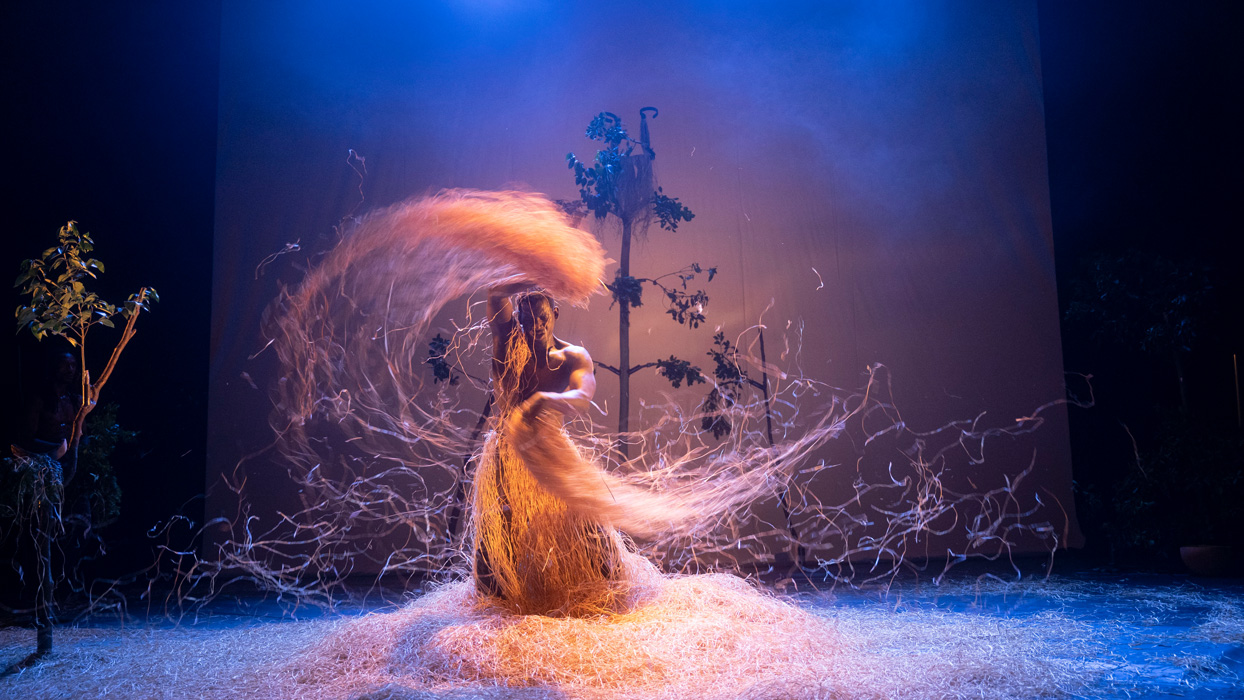 &copy; Michel Francoise