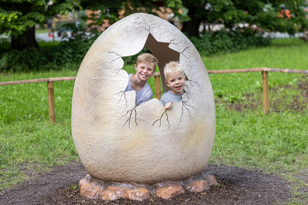 &copy; Dominik Gruss