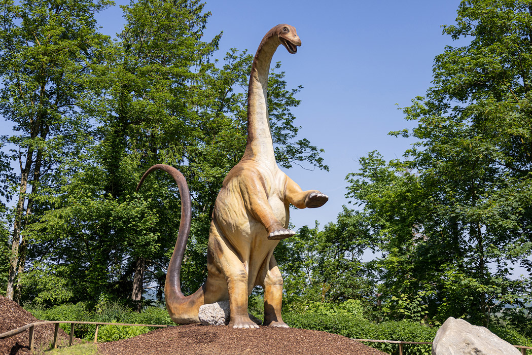 &copy; Dominik Gruss