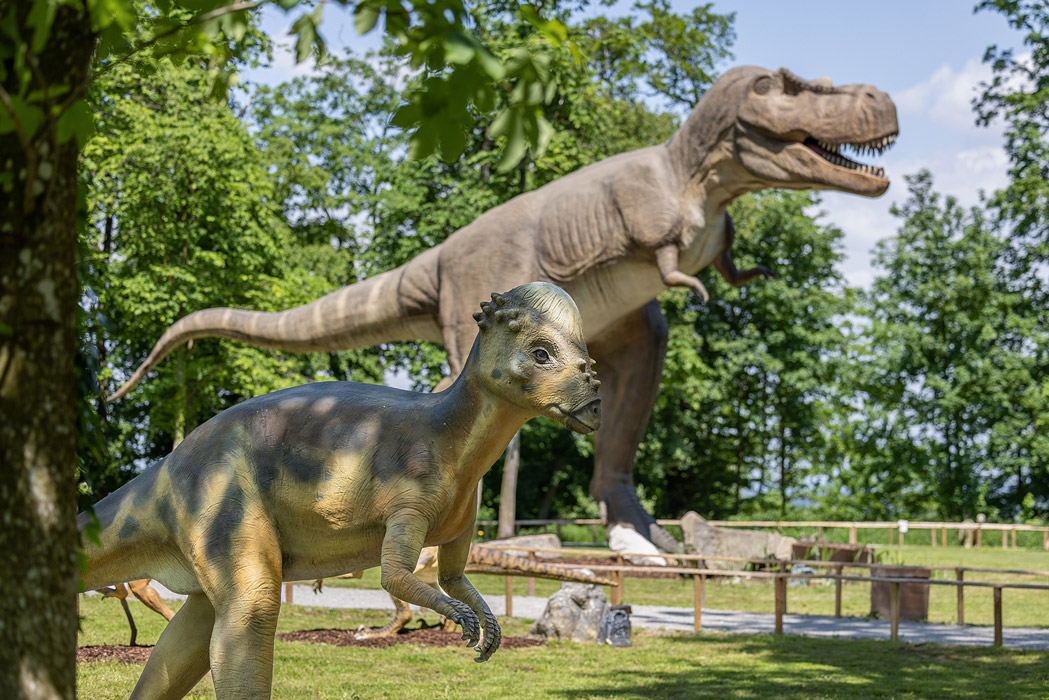 &copy; Dominik Gruss