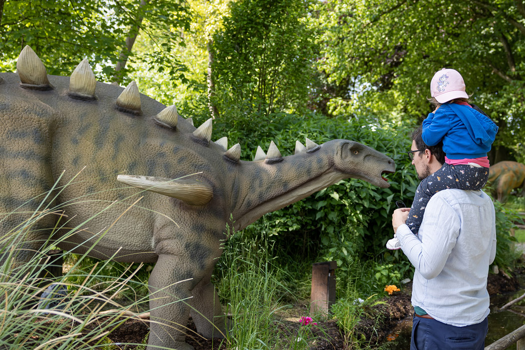 &copy; Dominik Gruss