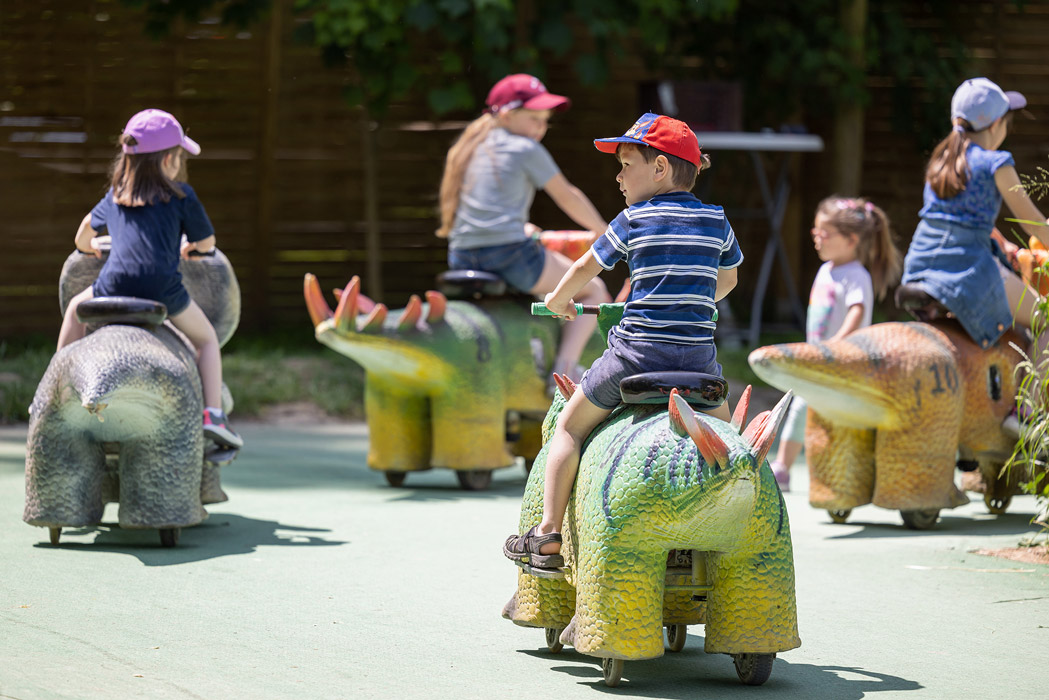 &copy; Dominik Gruss