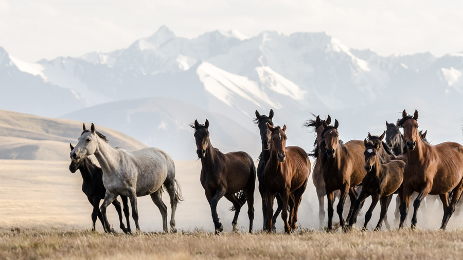 Kirgistan (&copy; Christian Bock)
