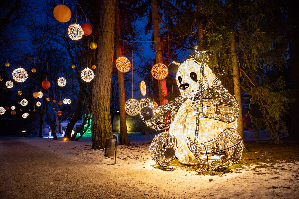LUMAGICA Innsbruck