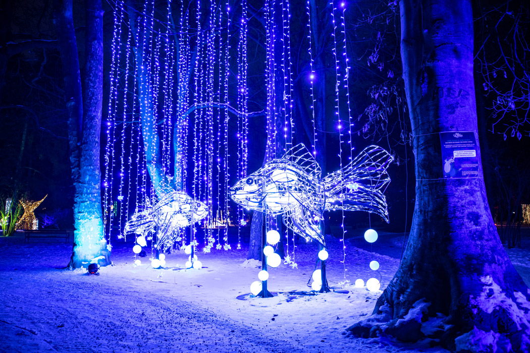 LUMAGICA Innsbruck