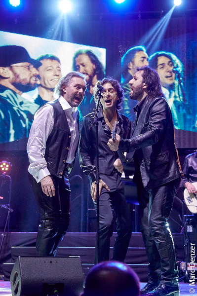 MASSACHUSETTS - Das Bee Gees Musical