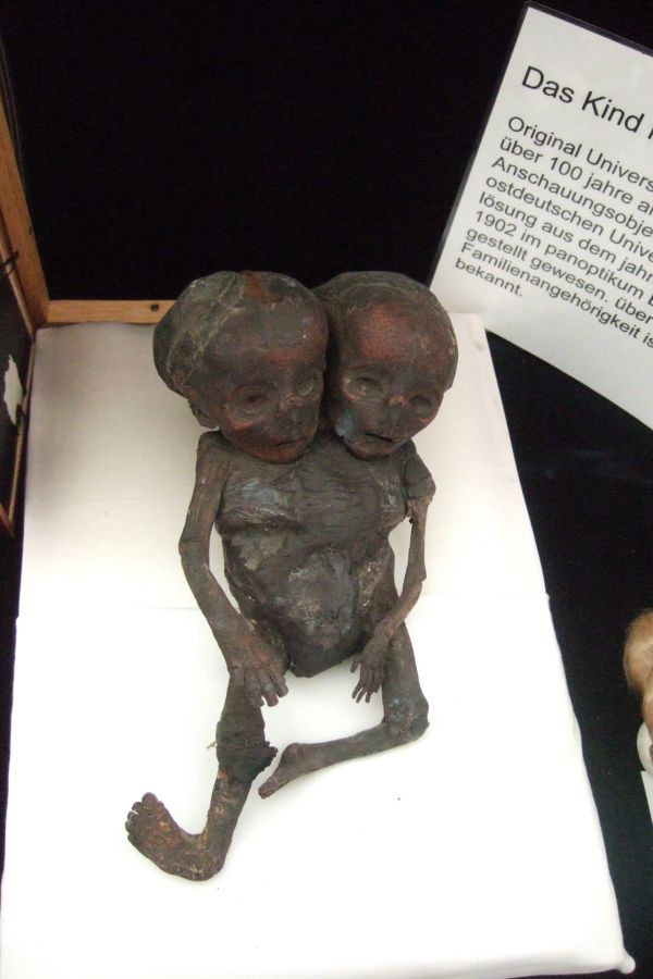 Sonder Schau Natur Wunder