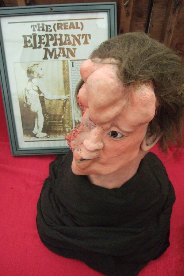 Sonder Schau Natur Wunder