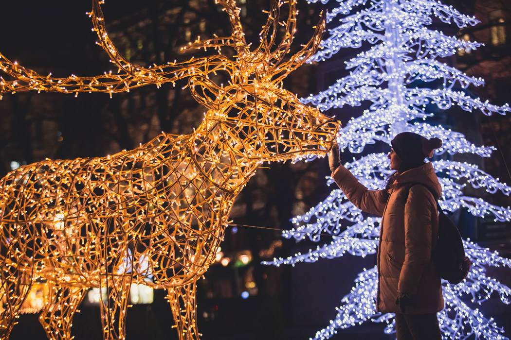 Adobe-Stock---tsuguliev