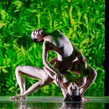 Cloud Gate Dance Theatre of Taiwan