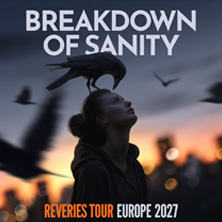 Breakdown Of Sanity