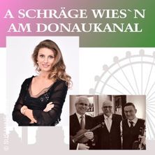 A schr&auml;ge Wies&rsquo;n am Donaukanal