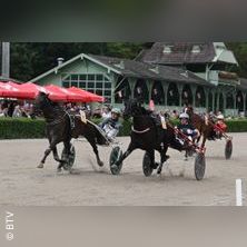 Super Trot Cup