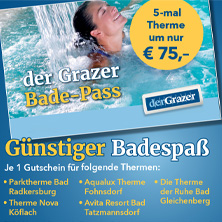 Der Grazer - Bade-Pass