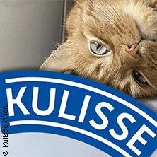 Die Katze im Sack
