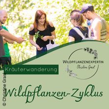 Essbare Wildkr&auml;uter & zweiter Fr&uuml;hling
