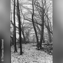 Franz Schubert: Winterreise