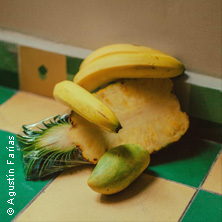 HUMAN (Ich bin Mensch)