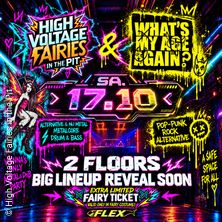 High Voltage Fairies in the Pit & What's My Age Again @Flex