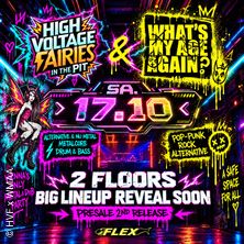 High Voltage Fairies in the Pit & What's My Age Again @Flex