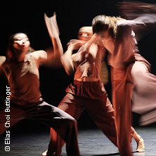 Institute of Dance Arts der Bruckner Uni