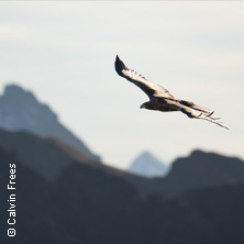 Mountainfilm Graz 2026 - SteileWelt/TribeWithin
