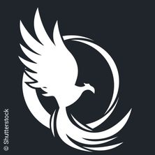 Reborn Reisenberg 2027