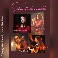 Schneeflockennacht -Ein Musikabend