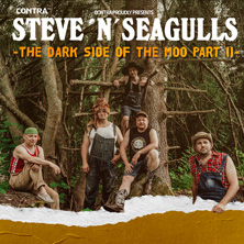 Steve'n'Seagulls