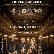 Triple Konzert Haydn Quartett