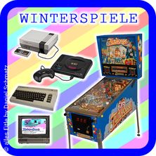 Winterspiele (Flipper Retro Videospiele)