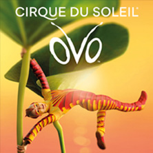 Cirque du Soleil