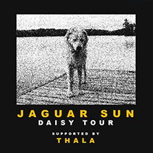 Jaguar Sun