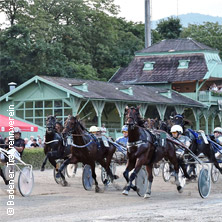 Badener Trabrennbahn