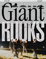 Giant Rooks